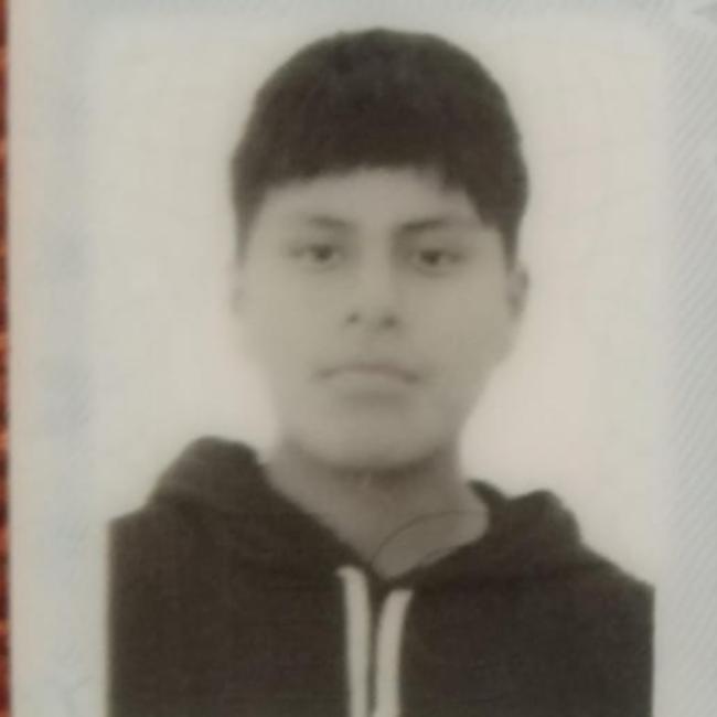 User Image