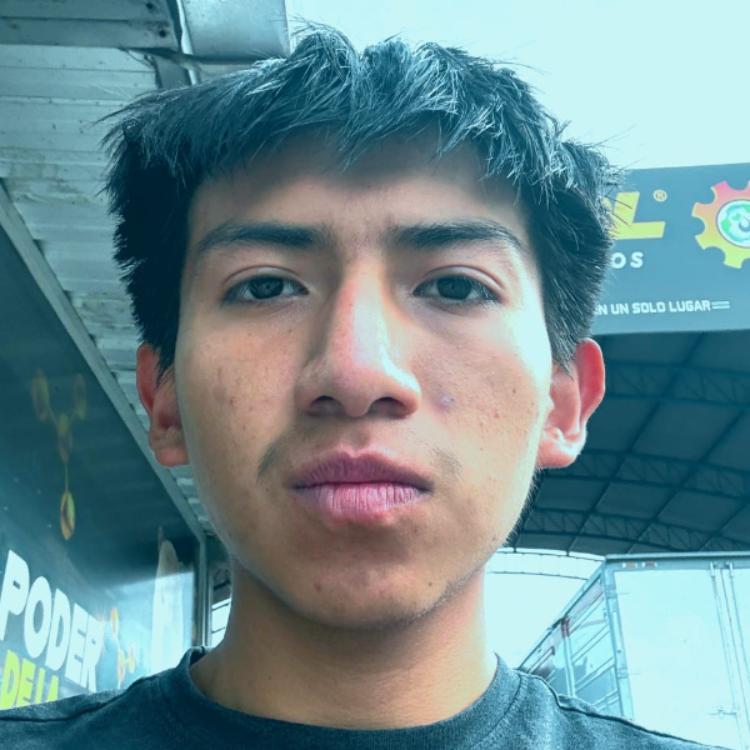 User Image