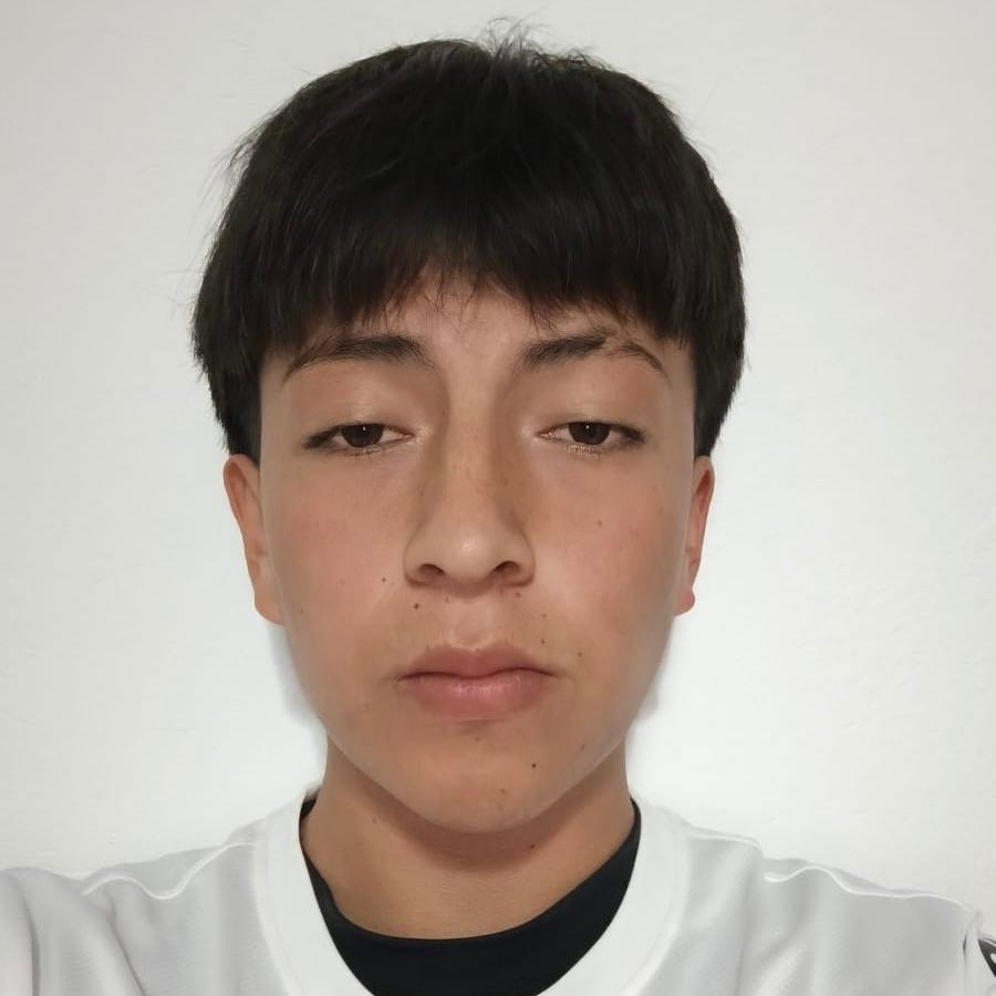 User Image