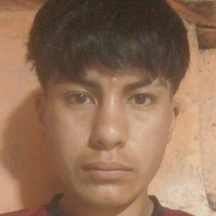 User Image